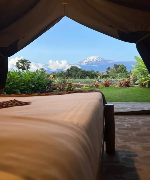 How to Experience Kilimanjaro, Safari & Farm Life in One Tanzanian Journey